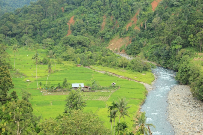 Panorama Sungai Batang Kuranji dari atas headrace